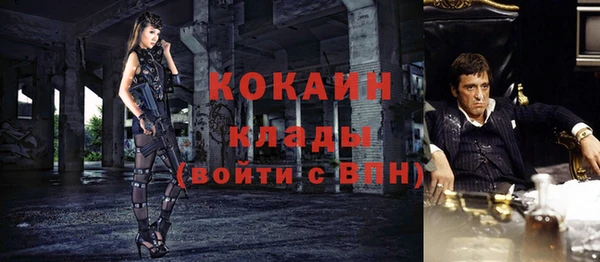 винт Гусь-Хрустальный