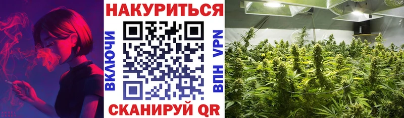 Шишки марихуана VHQ  мега tor  Кондопога 